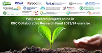 PAIR research projects shine in RGC Collaborative Research Fund 202324 exercise