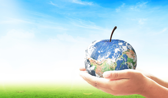 Food sustainability