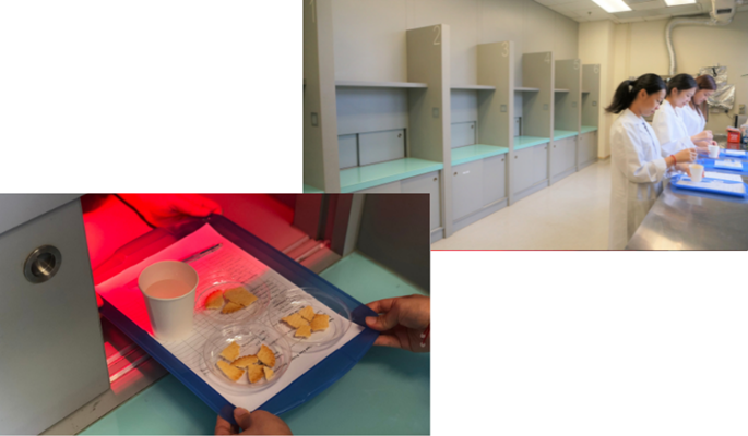 RiFood Lab 3