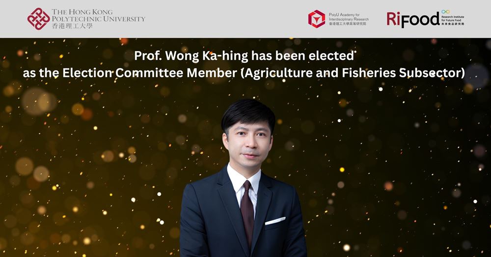 20250909_Election Committee Subsector By-election_EN_2000x1050