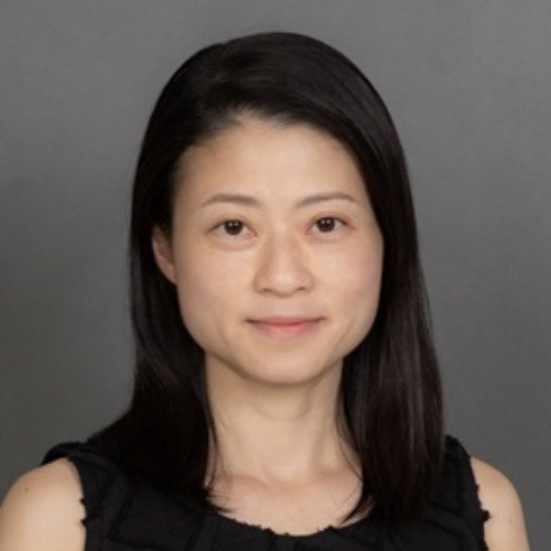 Dr Connie L.L. HUI