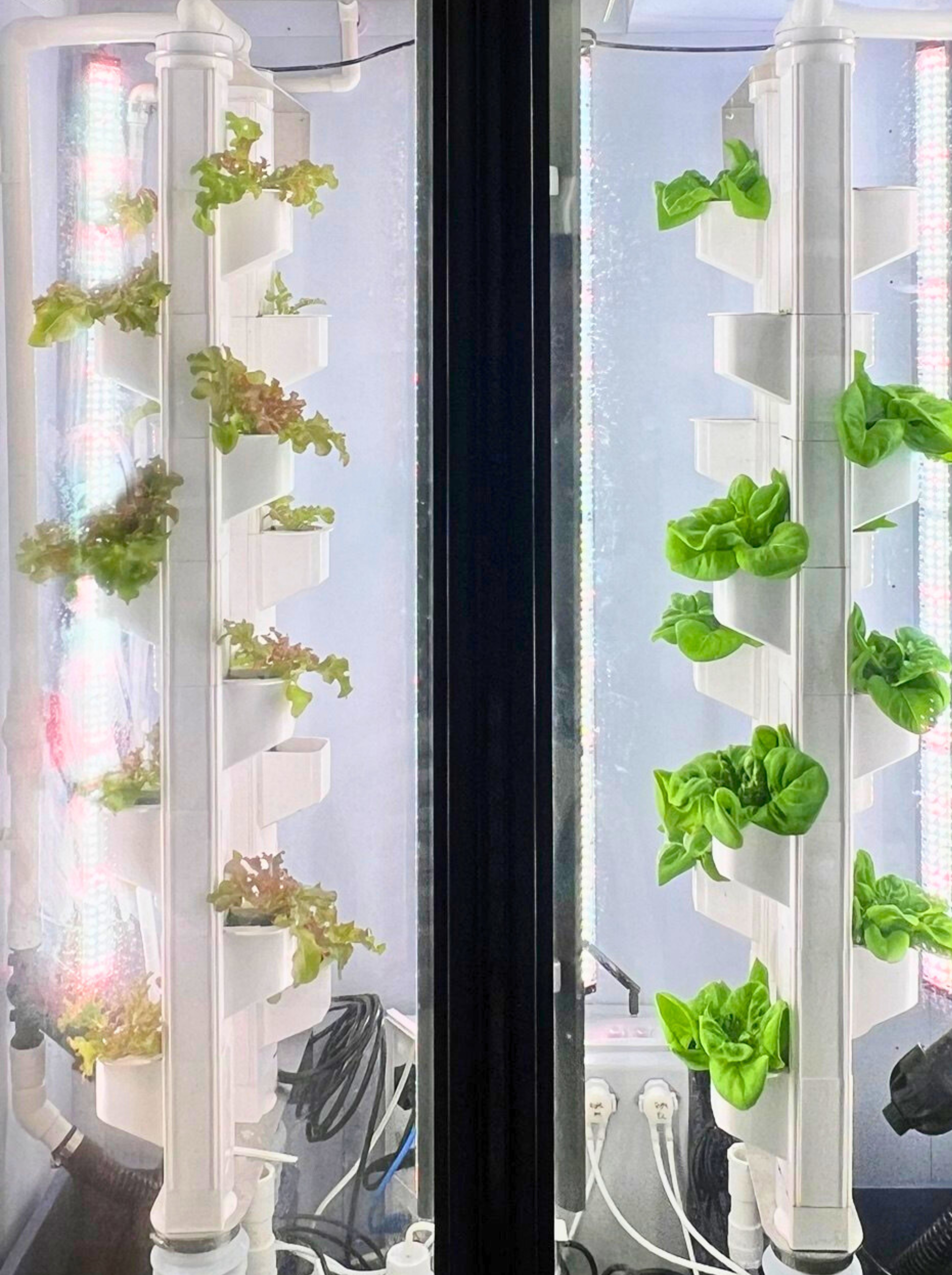 Untitled 956 x 1080 px 956 x 1280 px