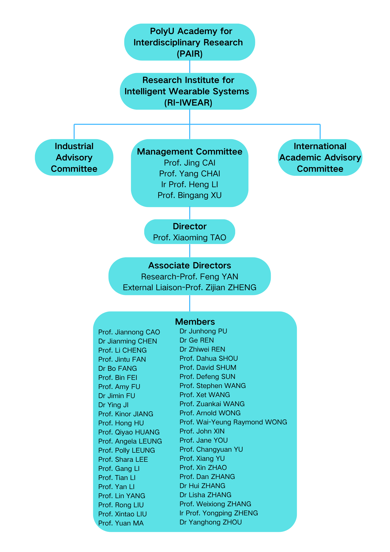 Org structure