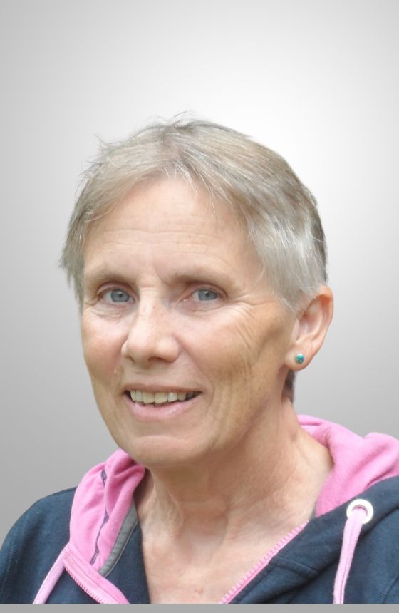 20251218 PAIR DLS by Prof Julia M Yeomans