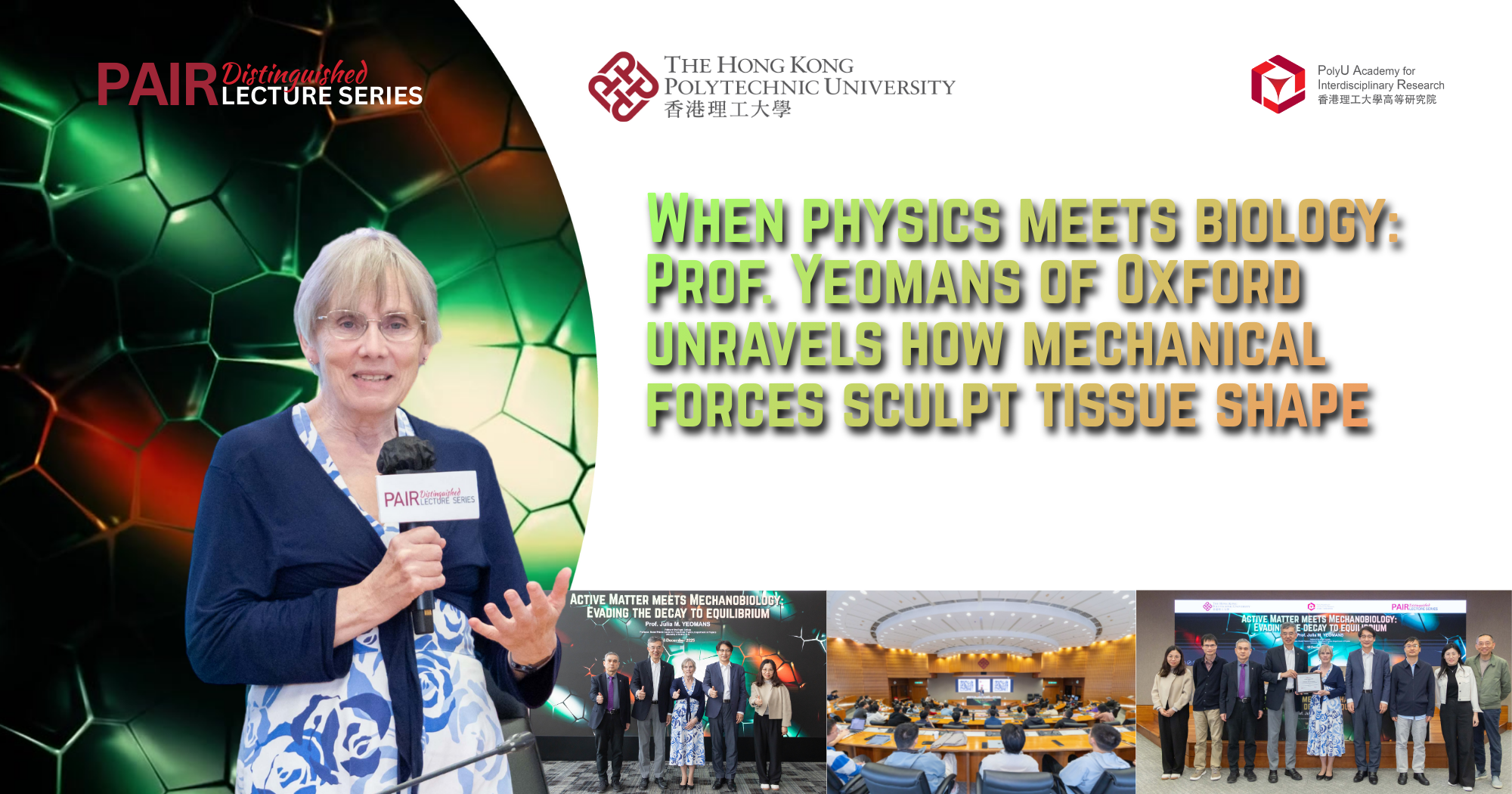 When physics meets biology: Prof. Yeomans of Oxford unravels how mechanical forces sculpt tissue shape
