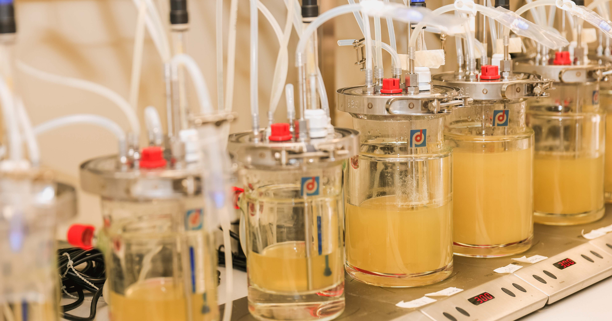 PolyU-Yakult Joint Research Laboratory for Probiotics and Prebiotics in Human Health will conduct innovative research for the prevention and treatment of gut and brain diseases and eczema using probiotics and prebiotics.