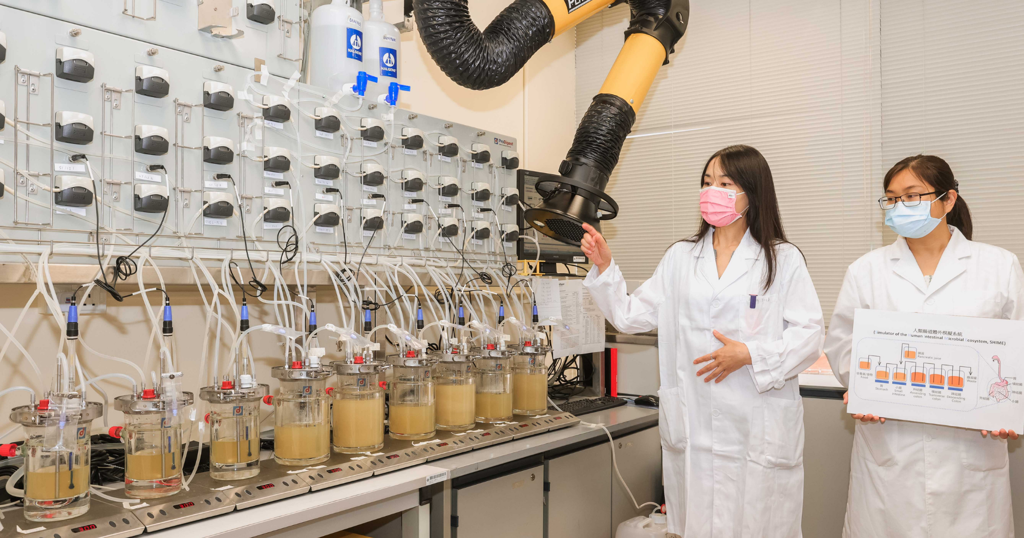 The Simulator of the Human Intestinal Microbial Ecosystem (SHIME®)
