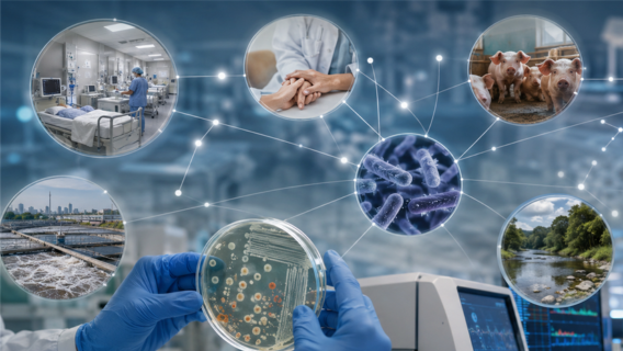 Research Program 1_ Infectious Diseases
