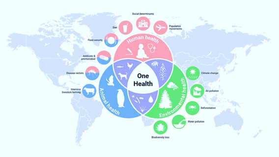 Research Program 2_ Bacterial Antimicrobial Resistance under One-Health