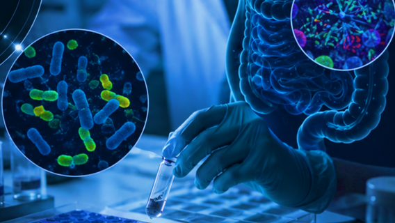 Research Program 4_ Beneficial Microorganisms and Health