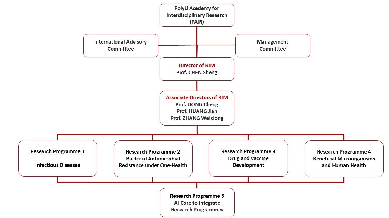 Organisation Structure_RIM