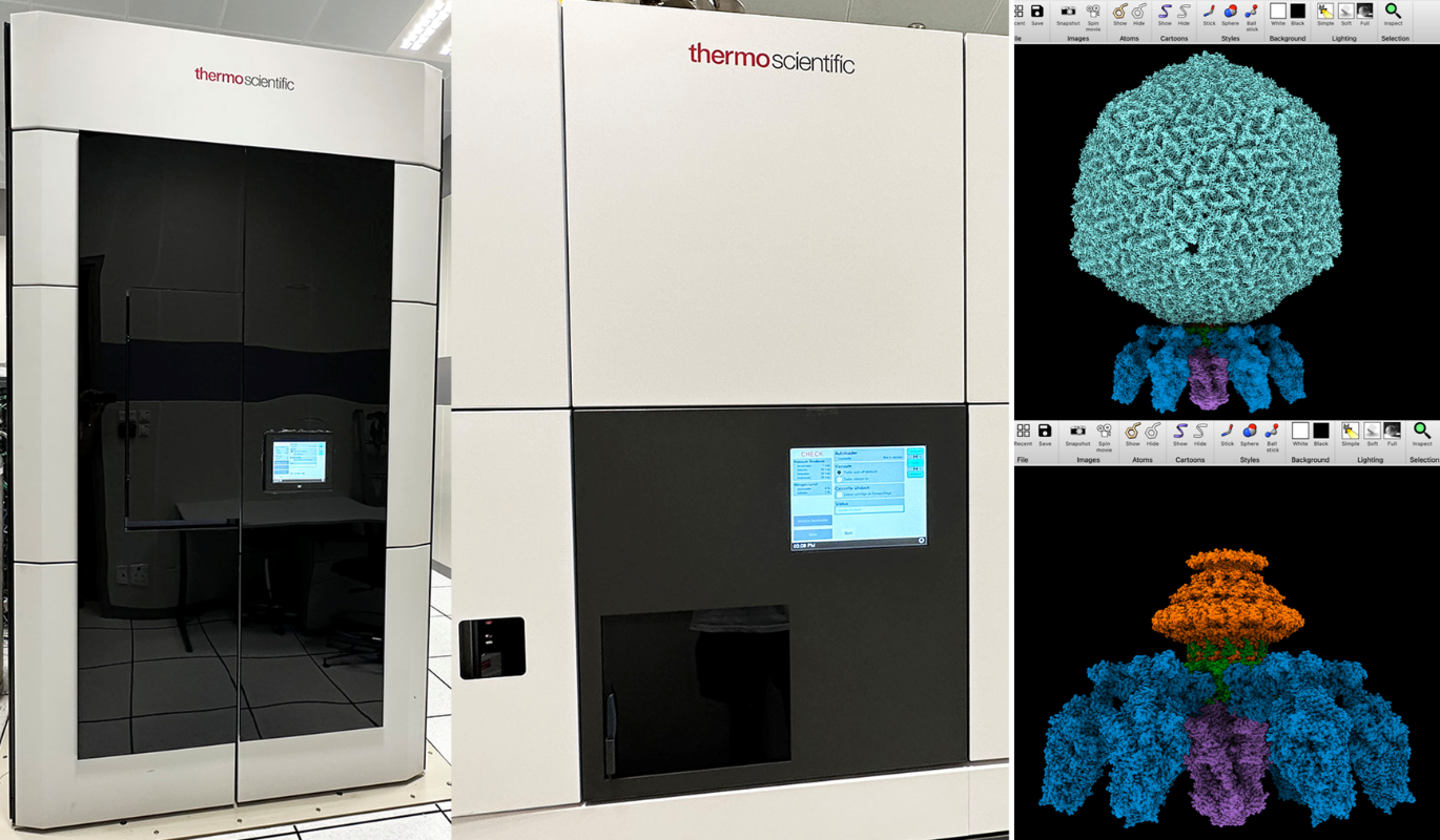 Cryo-Electron Microscopy