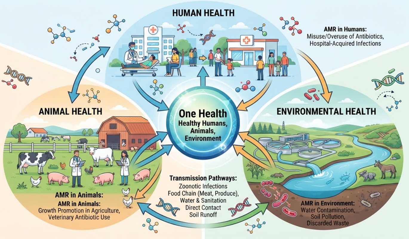 Research Program 2_ Bacterial Antimicrobial Resistance under One-Health