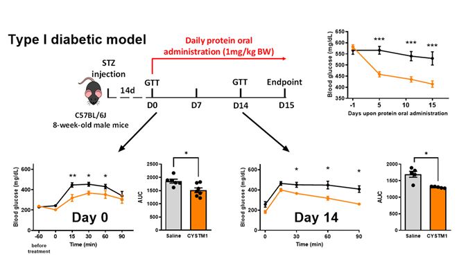 3_New Orally Administrable Peptide for Treatment of Diabetes