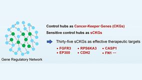 Integrating machine learning with total network controllability analysis - Button