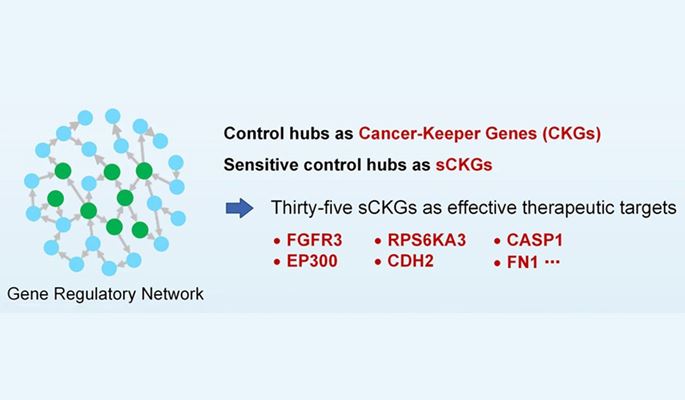 Integrating machine learning with total network controllability analysis