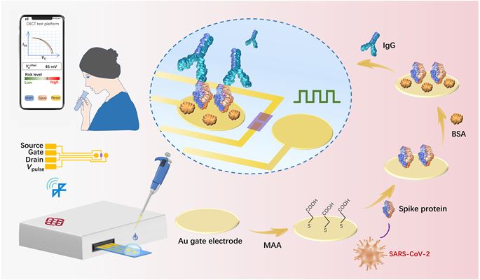 antibody_detection_science_advances