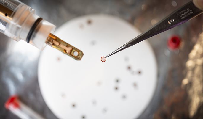 PolyU researchers make breakthrough discovery in structure and synthesis - Image