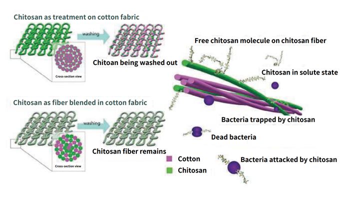 CHITOSAN MEDICAL  HEALTHCARE TEXTILE