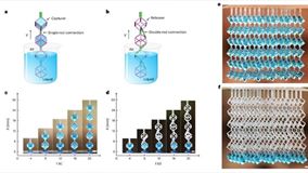PolyU develops versatile fluidic platform for programmable liquid processing_thumbnail