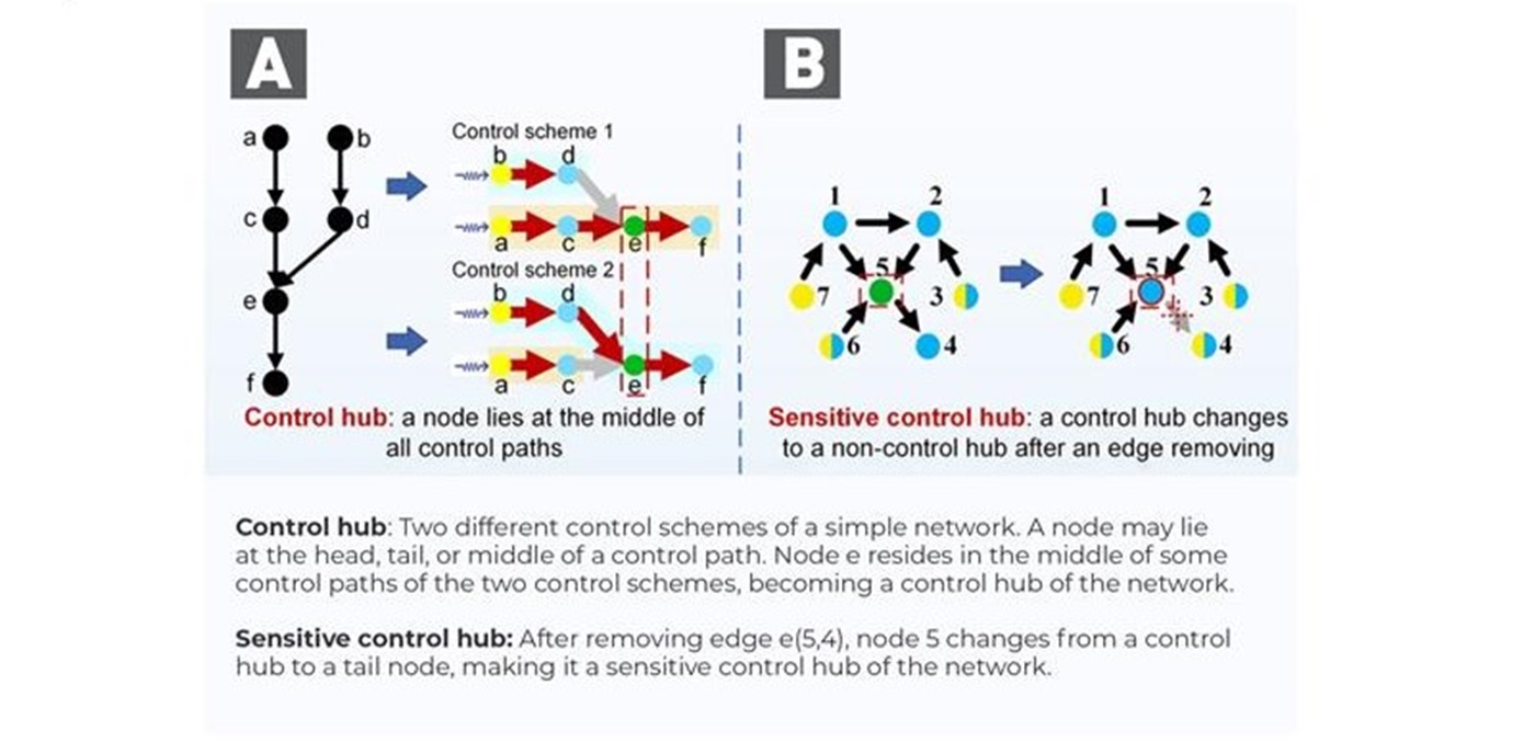 Integrating machine learning with total network controllability ...