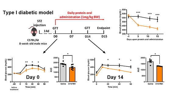 3_New Orally Administrable Peptide for Treatment of Diabetes _btn