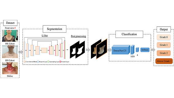 6AIEmpowered Radiation Dermatitis RD Severity Automatic Grading System btn