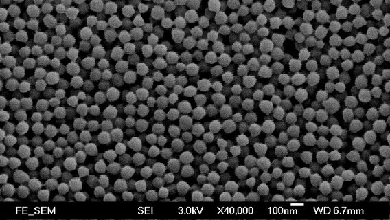 Amphiphilic Core-Shell Nanoparticles for Biomedical Applications