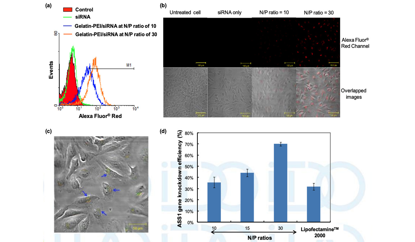 Amphiphilic Core-Shell Nanoparticles for Biomedical Applications1