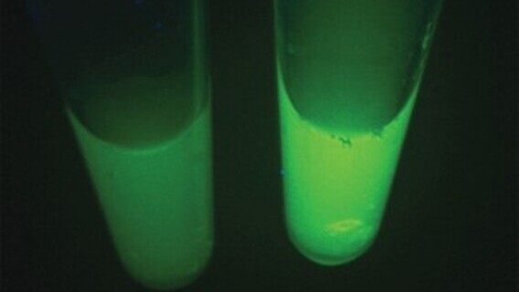 Development of Ultra-sensitive