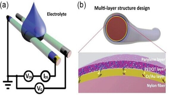Non-invasive Glucose Detection W