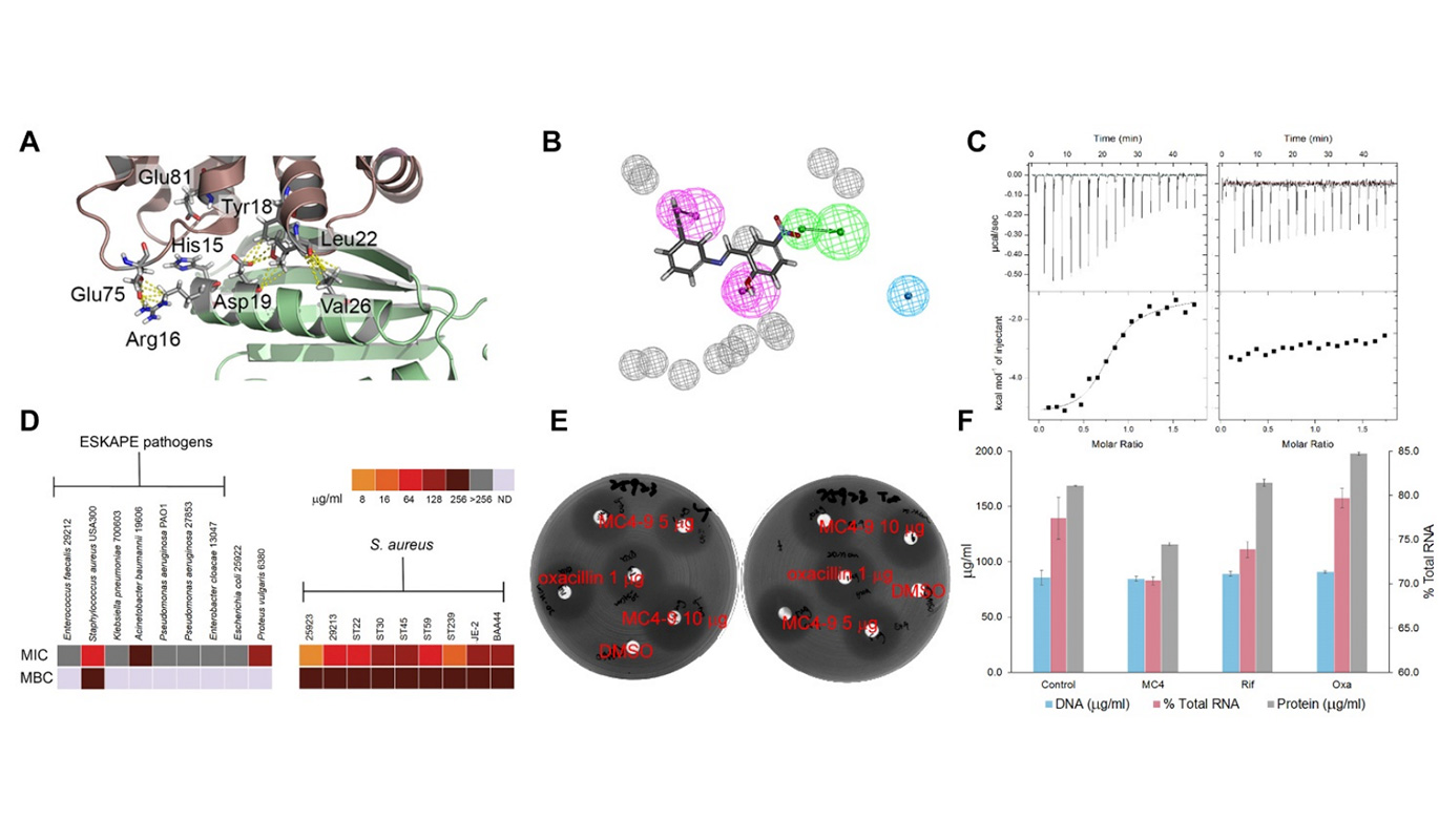 Novel Antimicrobial Agent Development from Unprecedented Targets