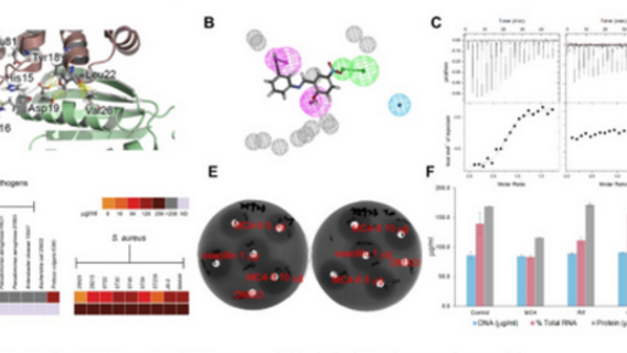 Novel antimicrobial agent_targets