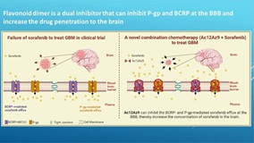Novel glioblastoma treatment a novel dual PgpBCRP inhibitor_thumbnail