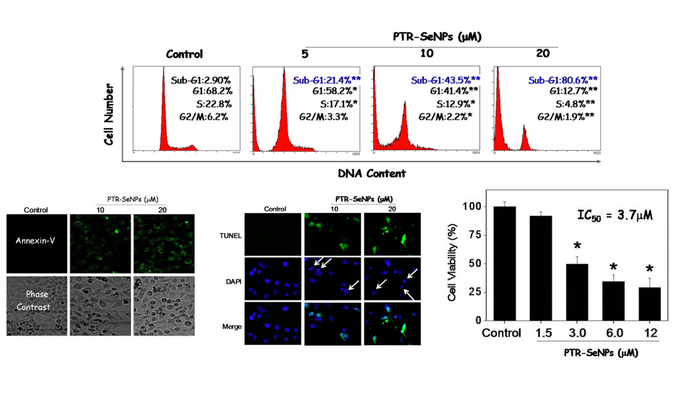 Preparation-of-Highly-Stable-Selenium-Nanoparticles