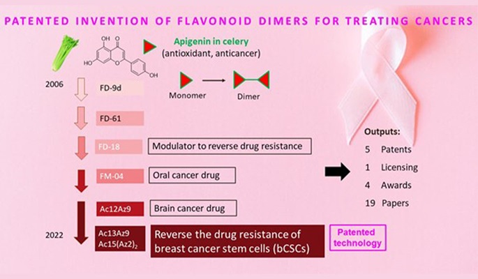 Novel breast cancer treatment a novel small molecule