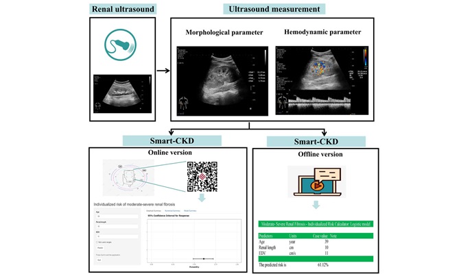 Smart CKD a novel diagnostic tool based on conventional ultrasound