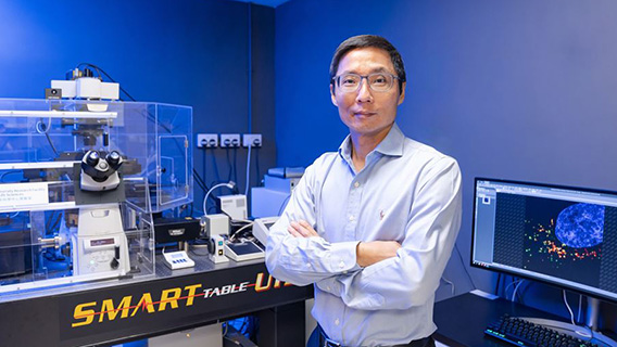 Target and mechanism of Chinese medicine - Button