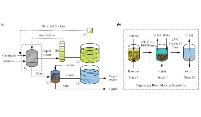 Lignocellulosic-Biomass-Treatment-for-Waste-Management