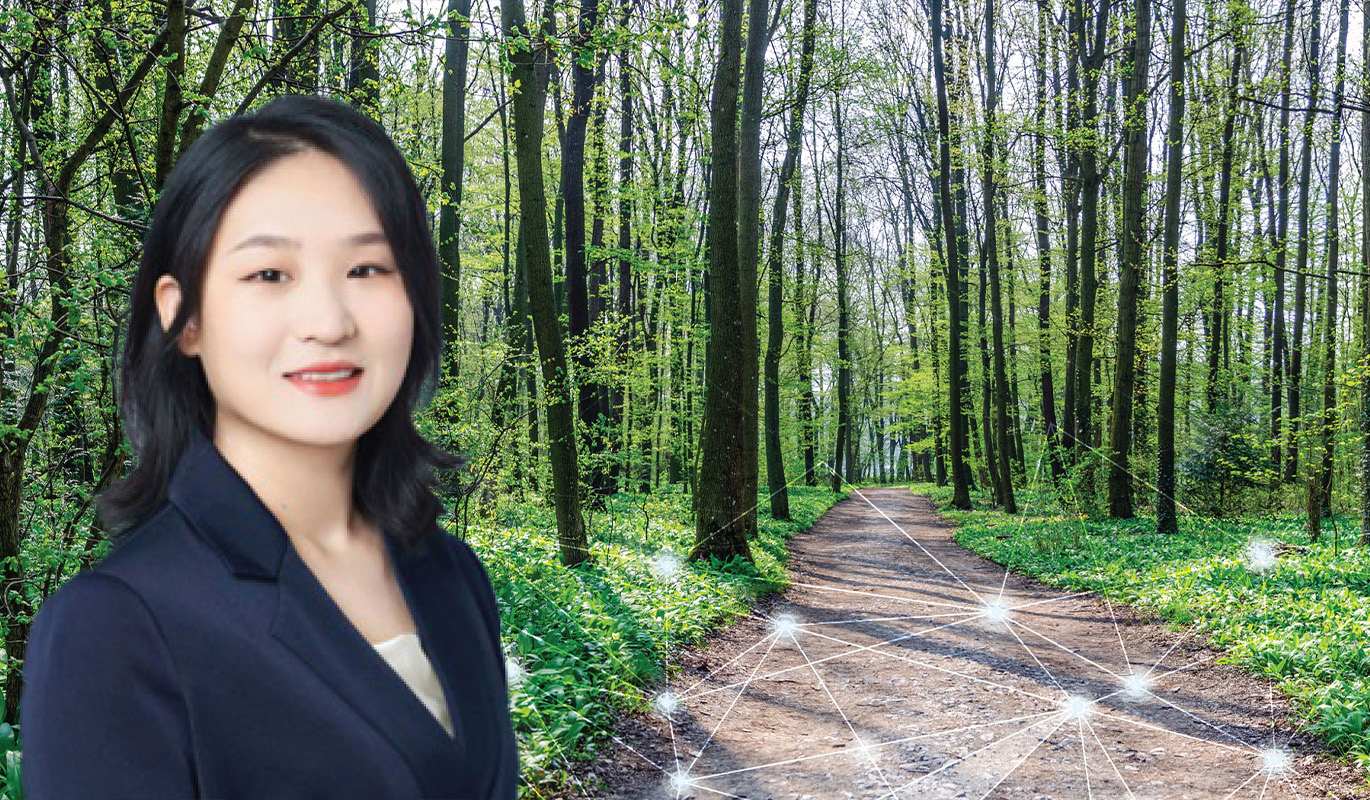 Digital Strolling_updated