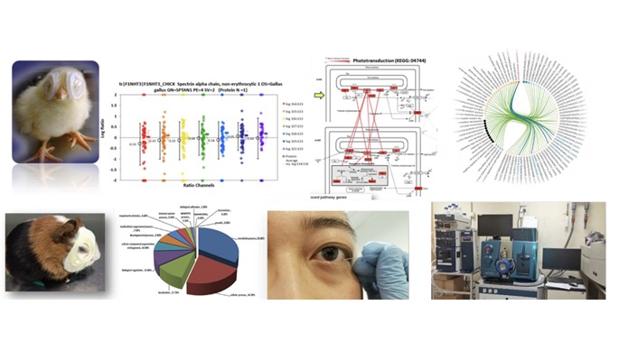 Proteomics in Eye Research