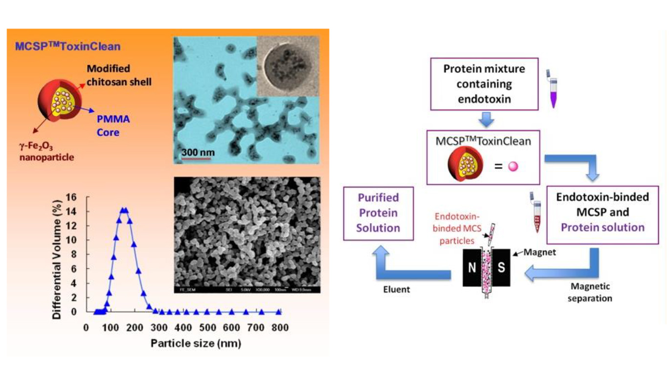 Removal of Endotoxin Using Amphiphilic Coreshell Nanosorbents