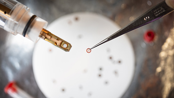 PolyU researchers make breakthrough discovery in structure and synthesis - Button