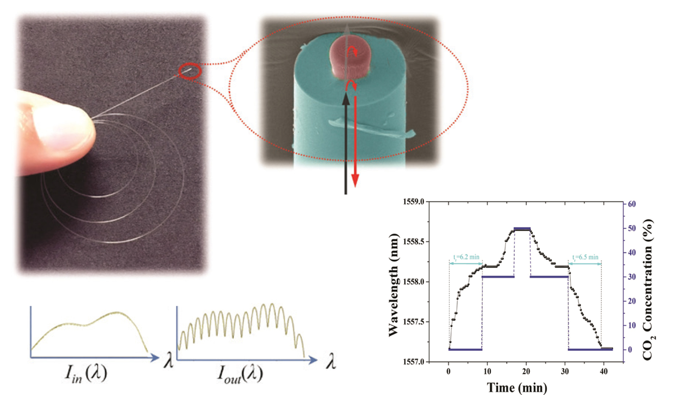 Optical Fiber-Top Microcavity CO2 Sensor 1
