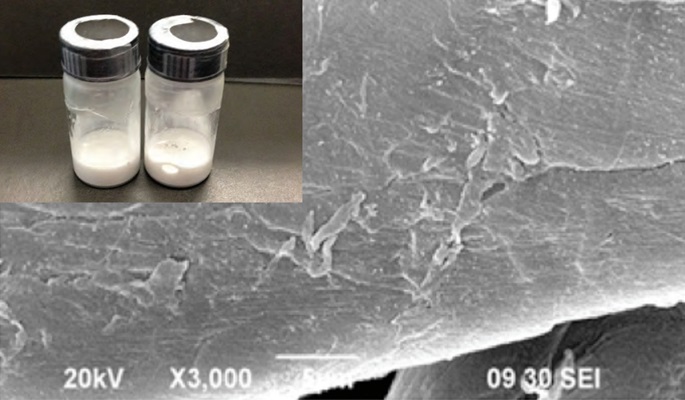 Co-catalyst System Flame Retardant Treatment for Cotton