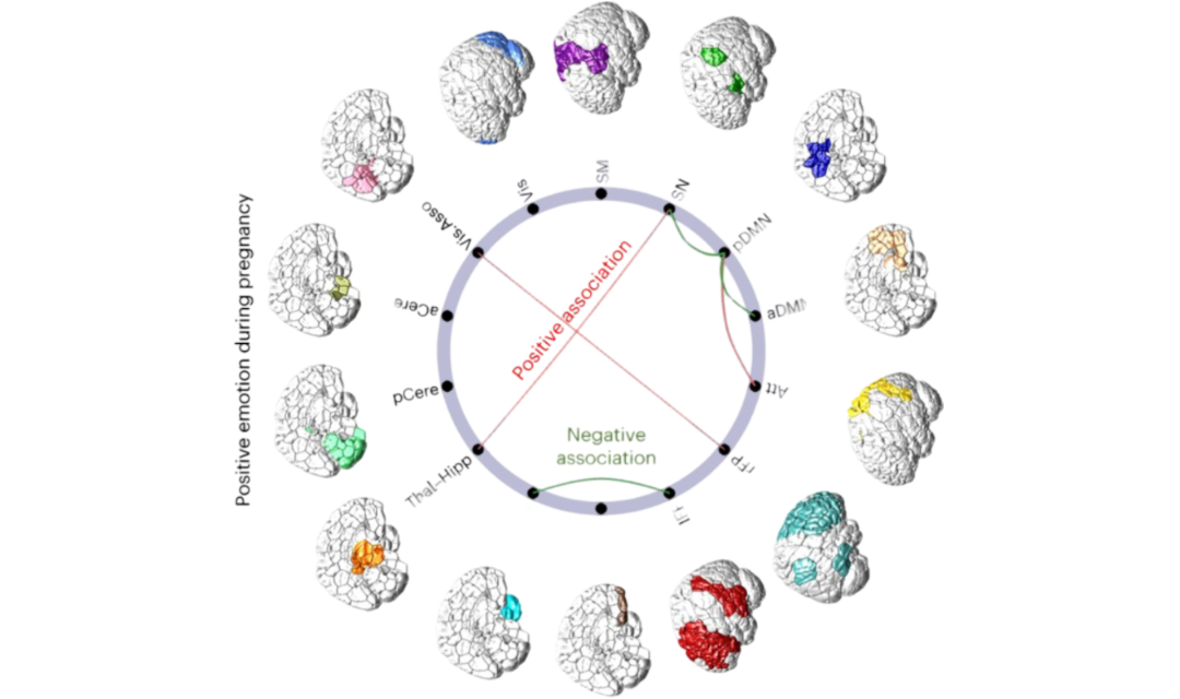 Screenshot 2024-07-22 120432