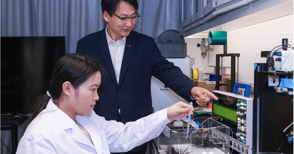 团队观察到，当海水滴落在海胆棘刺尖端时，棘刺会迅速旋转。他们利用电学测量，发现棘刺受水滴刺激后，内部会产生约百毫伏电压。