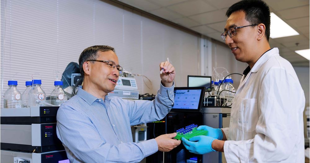 Inspired by the sequence pattern of collagen, the research team designed a protein template as the “backbone” and embedded the amino acid sequences encoded with several files into it, successfully expressing the data-bearing proteins via E. coli.