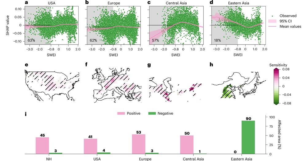 Using the XGB-SHAP framework developed by the research team, the study found that approximately 45% of croplands in the Northern Hemisphere experienced significant adverse impacts from snow droughts, with Europe, Central Asia and the United being the regions most severely affected.