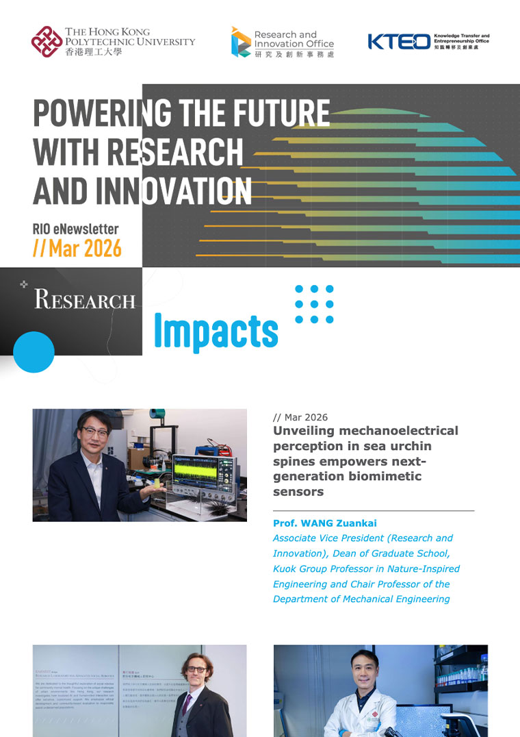 RIO Newsletter 202512